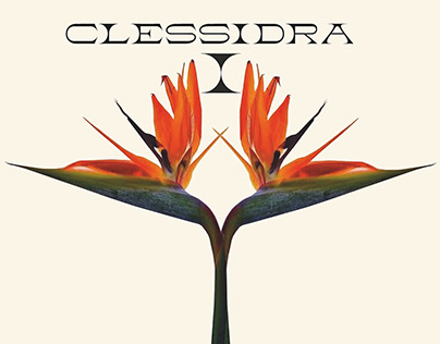 Brand Book - CLESSIDRA