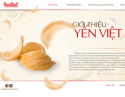 YenViet Website (2014)