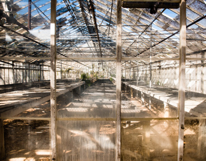 Abandoned Greenhouses