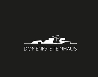 Domenig Steinhaus