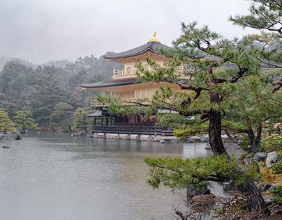 Kyoto : Golden Temple under the Rain