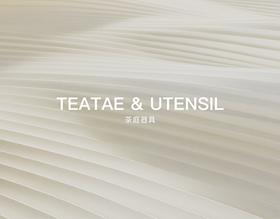 TAETEA 茶庭器具包装设计