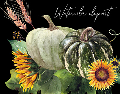 Watercolor pumpkins and sunflowers arrangements set