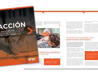 Librillo Acción - BID Uruguay