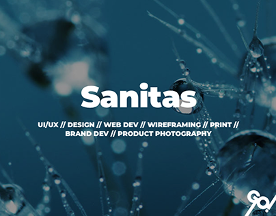 Sanitas }} ux/ui // web design // wire framing // print