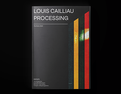 Porfolio april-may - Louis Cailliau Processing