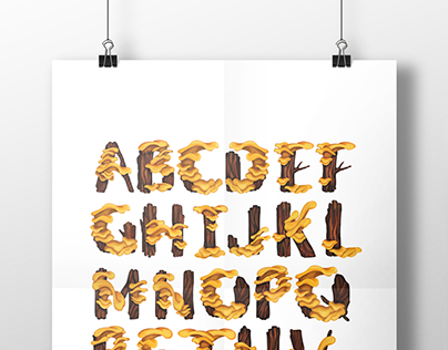 2D typography / Slow Life