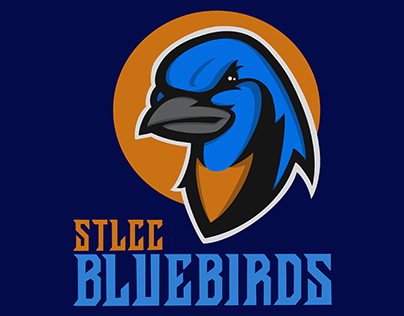 STLCC Bluebirds: Sports Rebrand