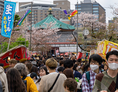 Sakura Festival 2023