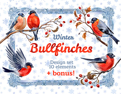 Winter bullfinches, design set, 10 elements.