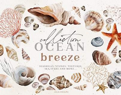 Ocean Breeze Seashells Sea Collection