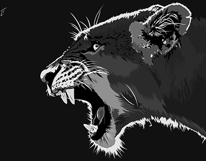 Vector Illustration: Lioness