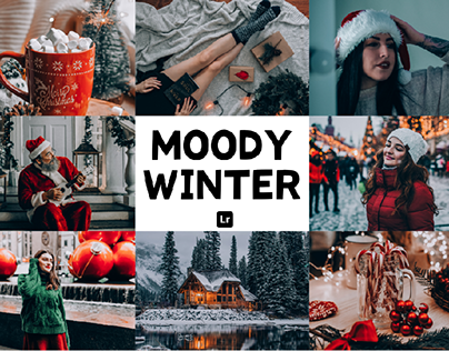 Moody winter Lightroom presets