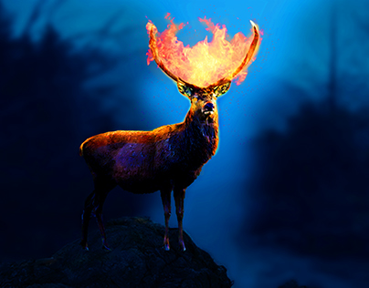 Fire Deer