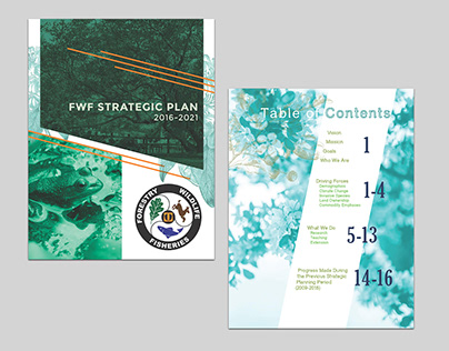 Five-Year Strategic Plan Design