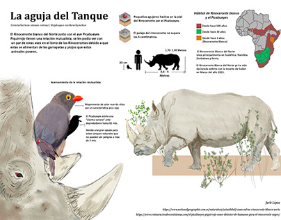 "La aguja del Tanque" | Infografía Ilustrada