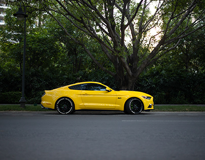 Mustang (Yellow)