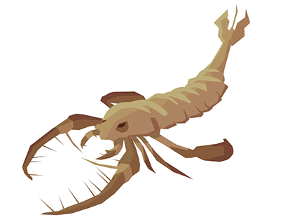 Sea Scorpion (Eurypterid)