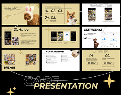 Business presentation design