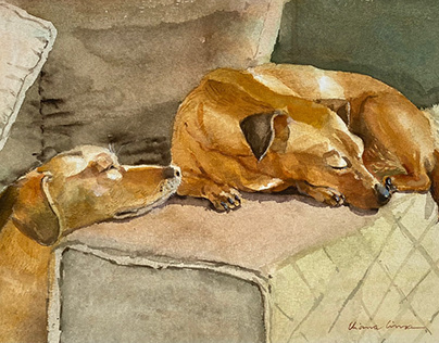 pet animal watercolor
