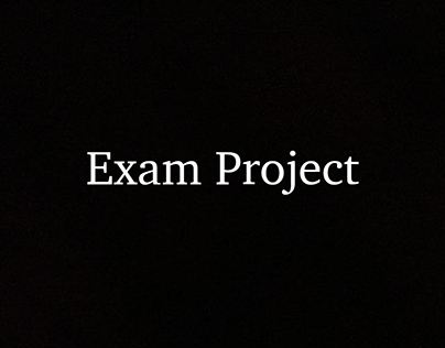 Exam Project Start