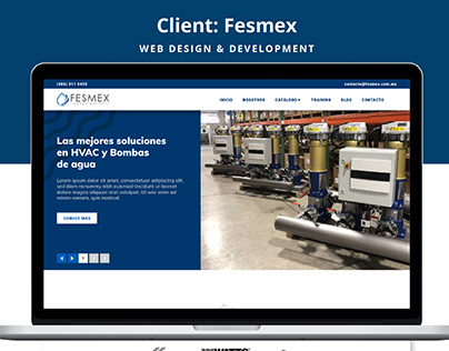 Project: Fesmex | Web Design