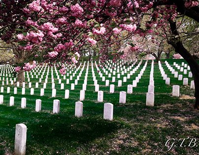 Arlington National Cemetery in Full Color