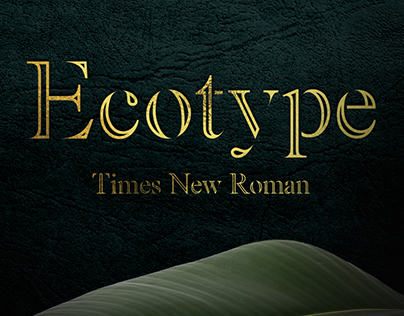 Ecotype font — Redesign Times New Roman
