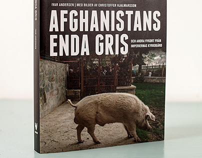 Afghanistans Enda Gris