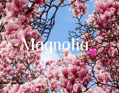 Magnolia photoshoot