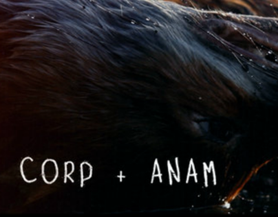 CORP+ANAM film titles