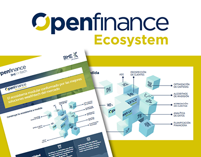 Project thumbnail - IDENTIDAD CORPORATIVA: Openfinance Ecosystem