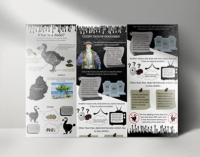Extinction Of Dodo Bird Infographics
