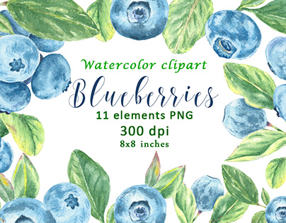Watercolor Blueberrie Leaves Clipart PNG Graphic