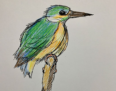 Bird watercolors