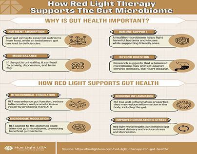How Red Light Therapy Supports the Gut Microbiome
