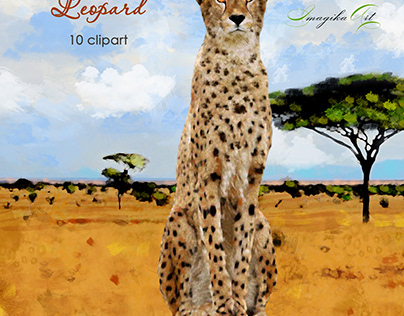 Illustrations of leopard, savannah