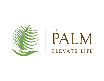Video Project for - The Palm