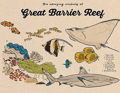 The amazing animals of the Great Barrier Reef