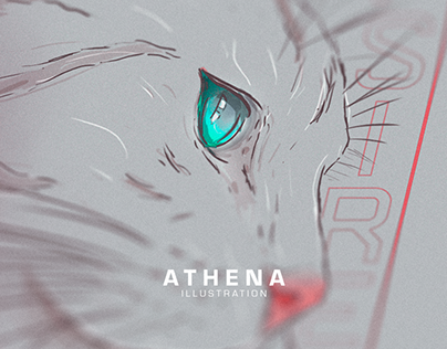 Warrior Cats Projects  Photos, videos, logos, illustrations and branding  on Behance