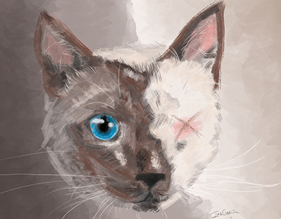 Paint of a hurt cat
