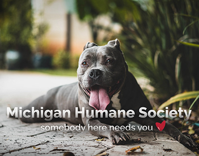 Michigan Humane Society Concept Website