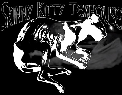 Skinny Kitty 2012 Music Video