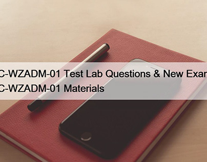 C-WZADM-01 Test Lab Questions