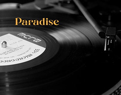 Paradise Online Vinly Records Store