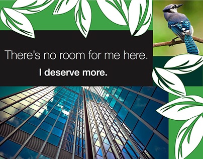 National Audubon Society - Print Ad Campaign