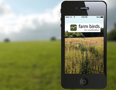 Being Digital - Farm birds app for smallholders