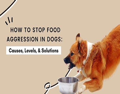 how to stop food aggression in dogs