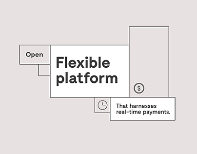 New Payments Platform