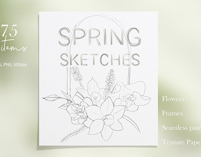 Pencil Sketches of Spring Flowers